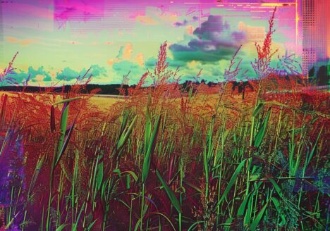 A glitchy landscape image with blown out clours depicting Transdisciplinary Approaches to Climate Change