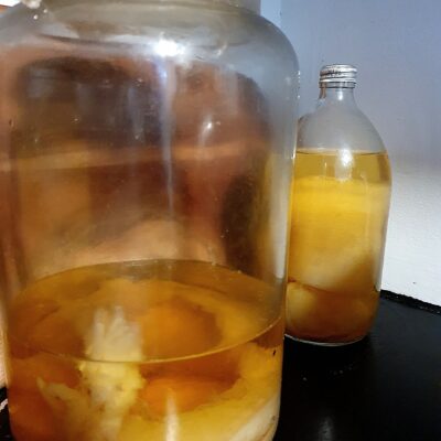 Kombucha brewing with SCOBY