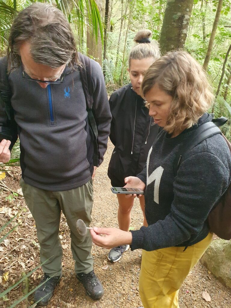 Fungi Hunting
